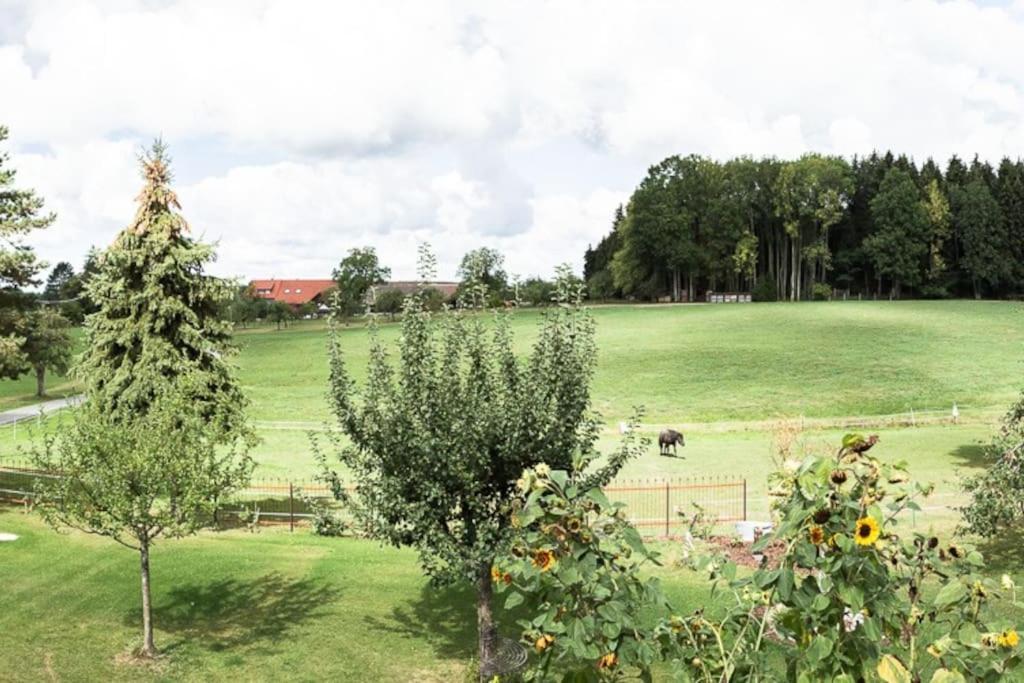 Naturidyl Schneckenbuch Weissensberg Exterior foto